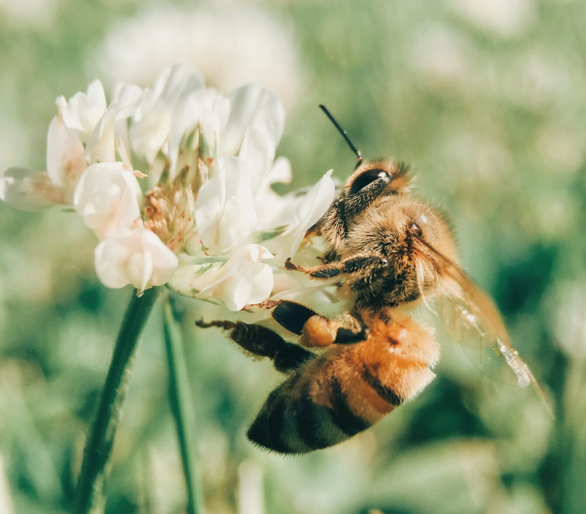 aaron-burden-2xhOYKK-jAM-unsplash